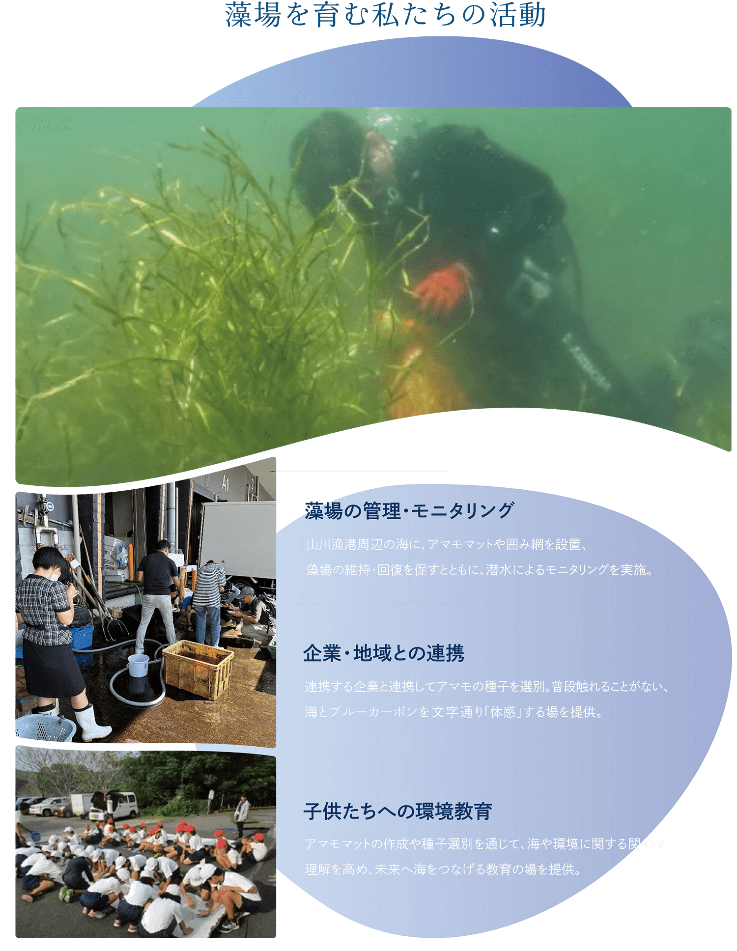 藻場の管理・モニタリング、企業・地域との連携、⼦供たちへの環境教育
