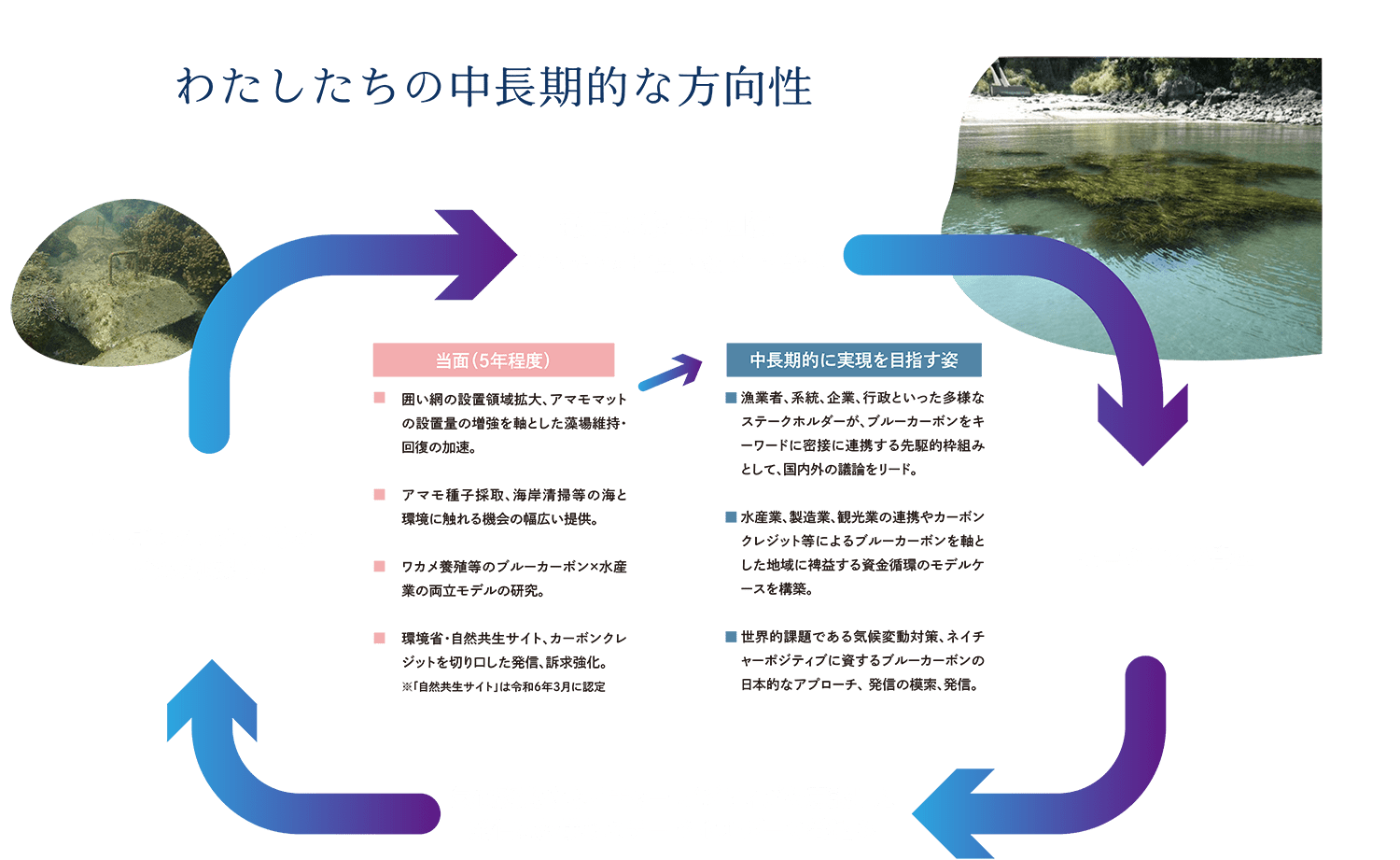 藻場の維持・回復、モニタリング管理、気候変動やネイチャーポジティブを意識した発信と多様なステークホルダーの巻込み、カーボンクレジット等の発展的取組み